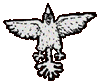 eagle.gif (3567 bytes)